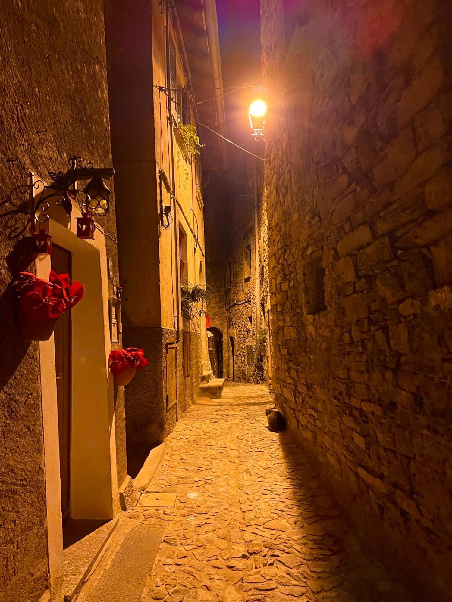 Romantic Home Stone With Amazing View Lake Of Como And Oleandra Лальо Екстериор снимка